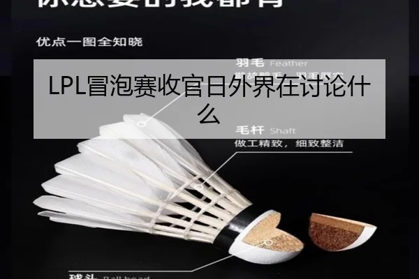LPL冒泡赛收官日外界在讨论什么（hth）